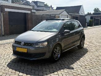 Volkswagen Polo 1.6 TDI PANO DSG picture 2