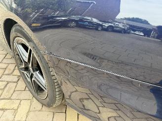 Mercedes E-klasse E200d AMG PANO picture 16
