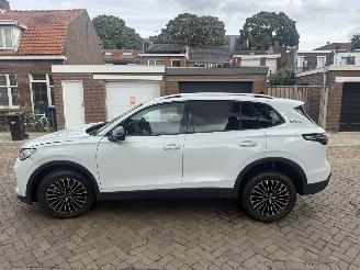 Volkswagen Tiguan 2.0 TDI GOAL Nieuwste model! picture 15
