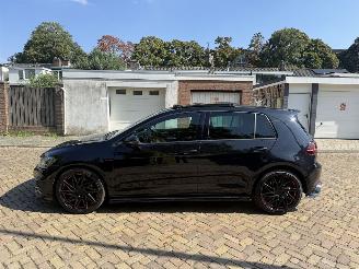 Volkswagen Golf 2.0 TSI GTI Performance picture 15