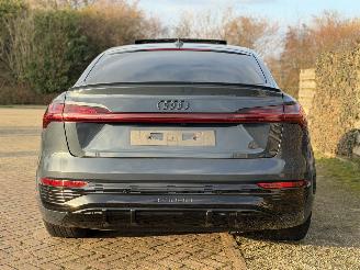 Audi SQ8 QUATTRO SPORTBACK E TRON 370 KW picture 18
