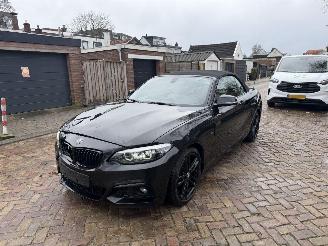 BMW 2-serie 218i M PAKKET CABRIO picture 2