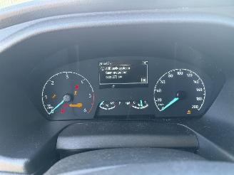 Ford Transit 310 2.0 TDCI L3H2 Trend EURO 6 picture 21