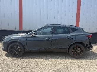 Cupra Formentor 2.0 VZ 245 KW AKRA  PANO SFEER picture 30