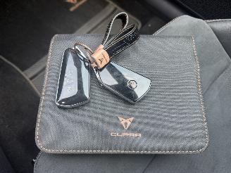 Cupra Formentor 2.0 VZ 245 KW AKRA  PANO SFEER picture 19