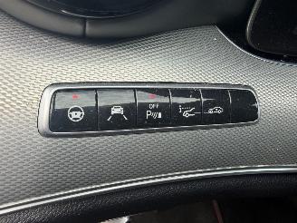 Mercedes AMG AMG 43 4Matic PANO picture 10