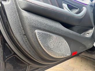 Mercedes AMG AMG 43 4Matic PANO picture 13