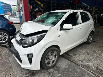 Salvage car Kia Picanto  2019/3
