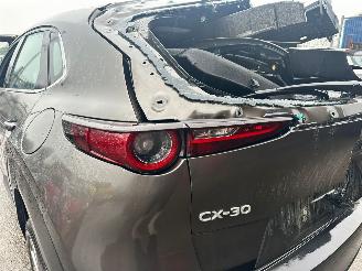 Mazda CX-30 2.0 HYBRIDE picture 7