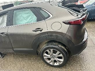 Mazda CX-30 2.0 HYBRIDE picture 9