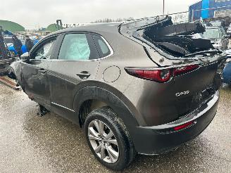 Mazda CX-30 2.0 HYBRIDE picture 8