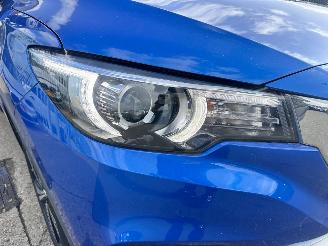 MG ZS MG ZS EV LUXURY 45KWH picture 18