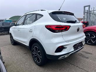 MG  1.5 MG ZS & ZS Hybrid+ ZS32 picture 6