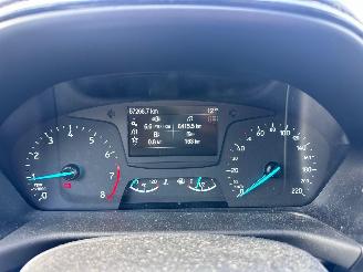 Ford Fiesta 1.0 EcoBoost / Panorama dak / picture 11