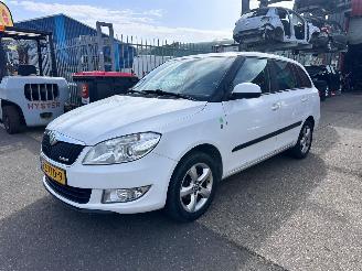 Damaged car Skoda Fabia 1.2 TDI GREENLINE 2012/8