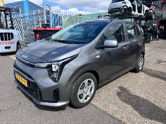 Schadeauto Kia Picanto 1.0 DPI DYNAMICLINE 2024/12