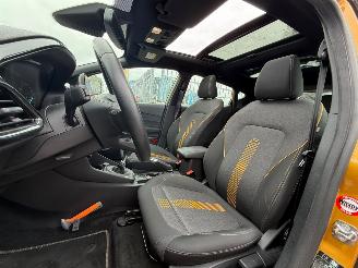 Ford Fiesta 1.0 ECPBOOST / ACTIVE / PANO/ FIRST EDITION picture 17