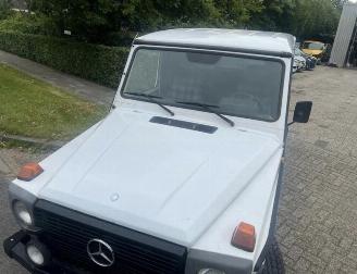Mercedes G-klasse 290 GD LANG GRIJSKENTEKEN picture 8