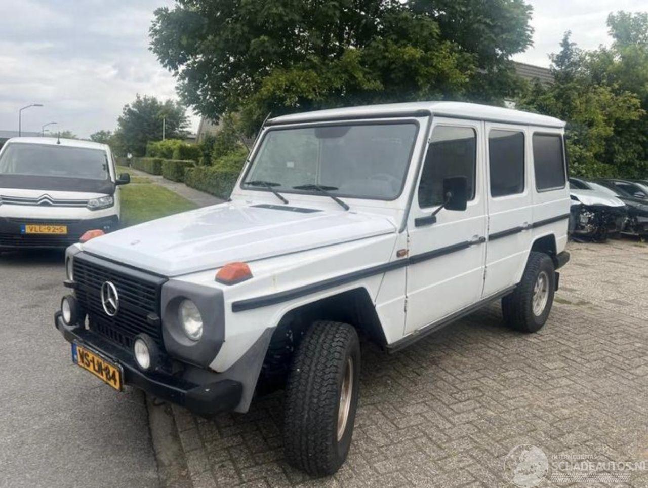 Mercedes G-klasse 290 GD LANG GRIJSKENTEKEN
