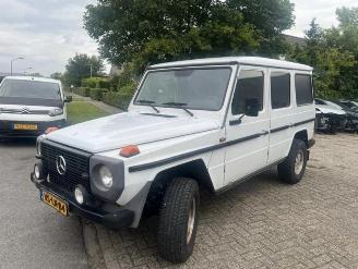 Avarii auto utilitare Mercedes G-klasse 290 GD LANG GRIJSKENTEKEN 1997/6