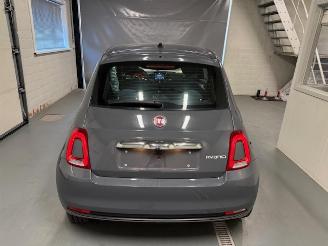 Fiat 500  picture 5