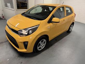 Kia Picanto  picture 3