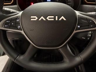Dacia Duster  picture 19
