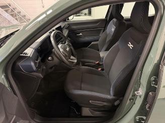 Dacia Duster  picture 10