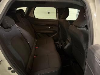 Dacia Duster 360° CAMERA picture 12