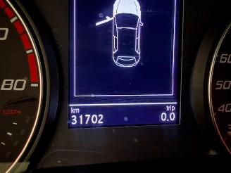 Seat Ibiza  picture 14