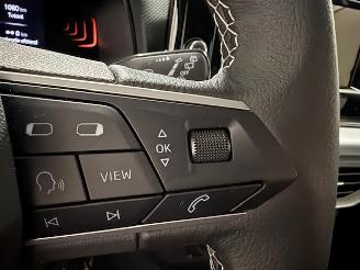 Seat Ibiza  picture 21