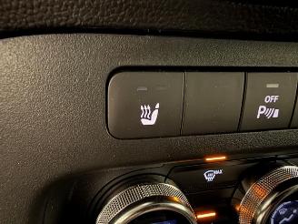 Mercedes Citan SPORT picture 21