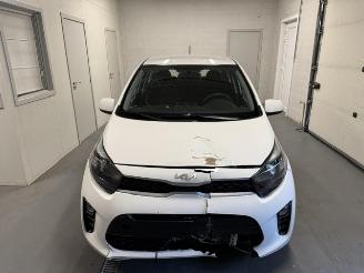 Kia Picanto  picture 3