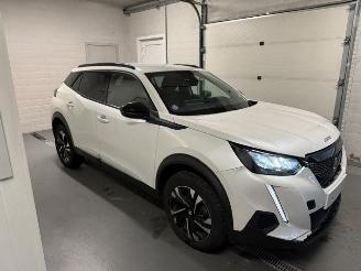 Avarii autoturisme Peugeot 2008  2023/3