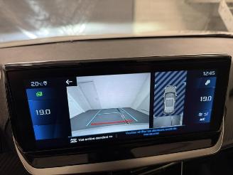 Peugeot 2008  picture 16