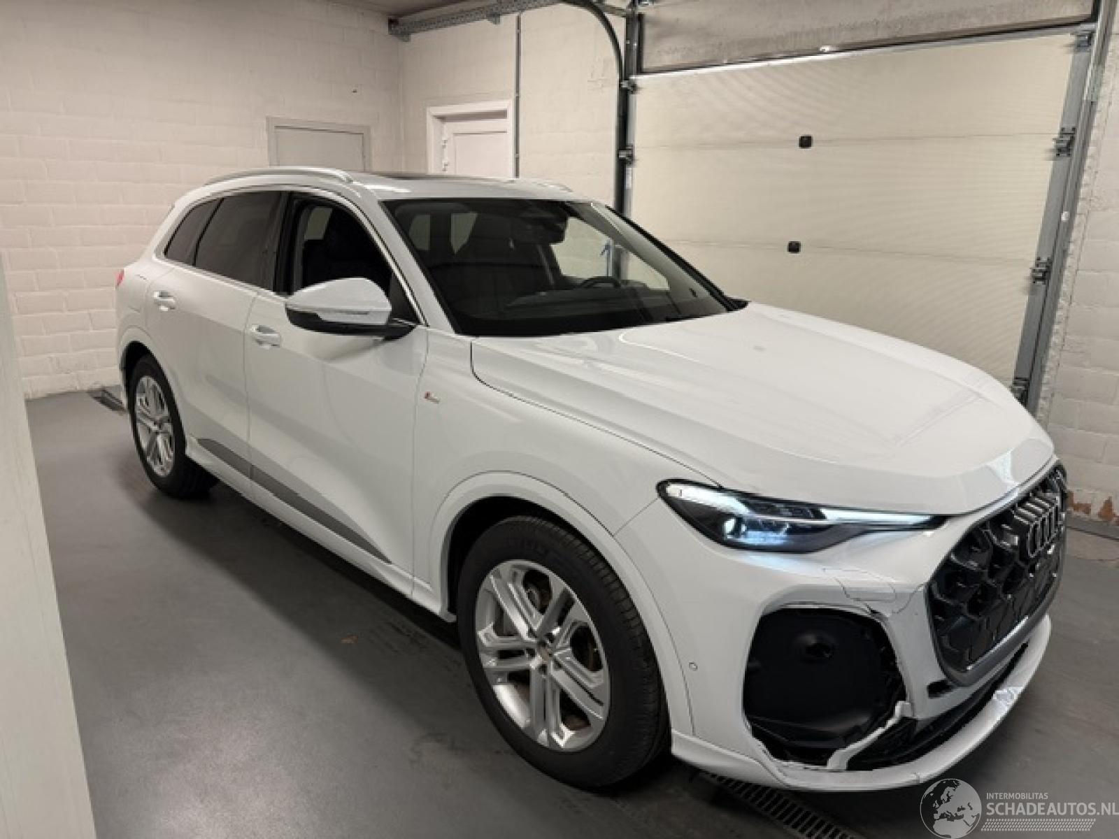 Audi Q5 LUFTFEDERUNG SOUND BANG&OLUFSEN