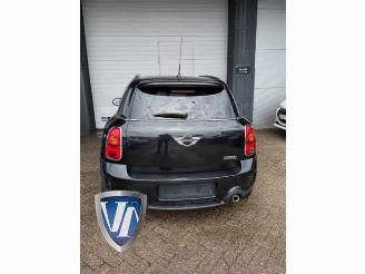 Mini Countryman  picture 5