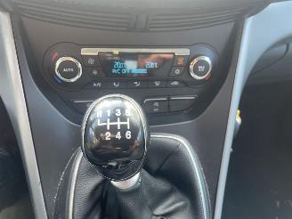 Ford C-Max 1.6 Titanium picture 11