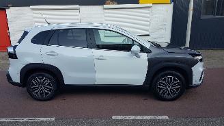 Suzuki S-Cross 1.4 BOOSTERJET HYBRID picture 6