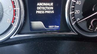 Suzuki S-Cross 1.4 BOOSTERJET HYBRID picture 23