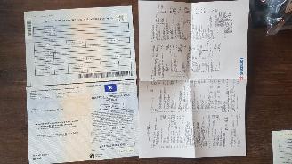 Suzuki Swift  picture 20