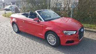 Audi A3 A3 CABRIO AUTOMAAT picture 34