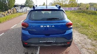 Dacia Sandero STEPWAY picture 13
