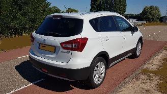 Suzuki S-Cross  picture 3