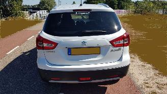 Suzuki S-Cross  picture 4