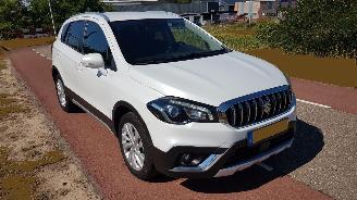Suzuki S-Cross  picture 2