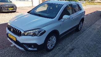Suzuki S-Cross  picture 12