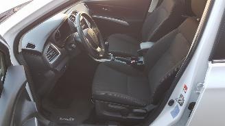 Suzuki S-Cross  picture 9