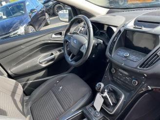 Ford Kuga 1.5TDCI Titanium  2019 picture 12