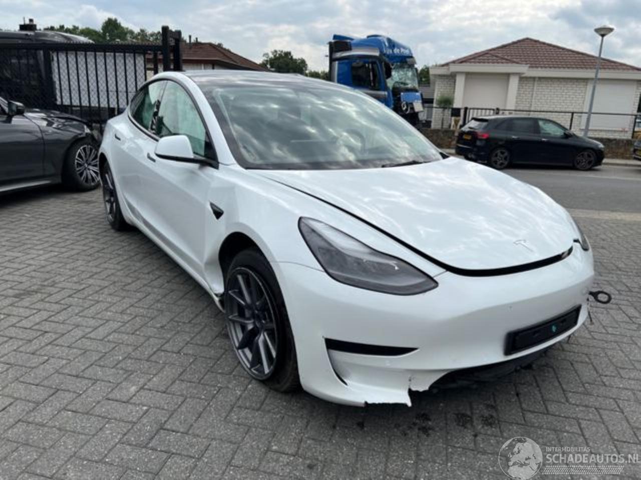 Tesla Model 3 Autopilot Cam Panorama 2021
